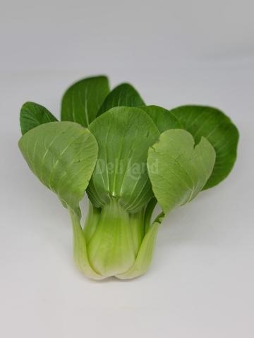 Bok choy